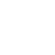download icon